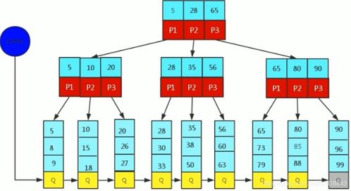 数据库高级特性 索引、视图、存储函数及数据处理服务