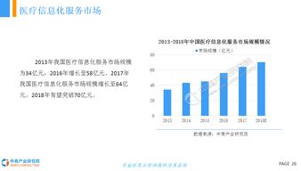 2018年中国医疗信息化行业市场前景研究报告 数据处理及存储服务